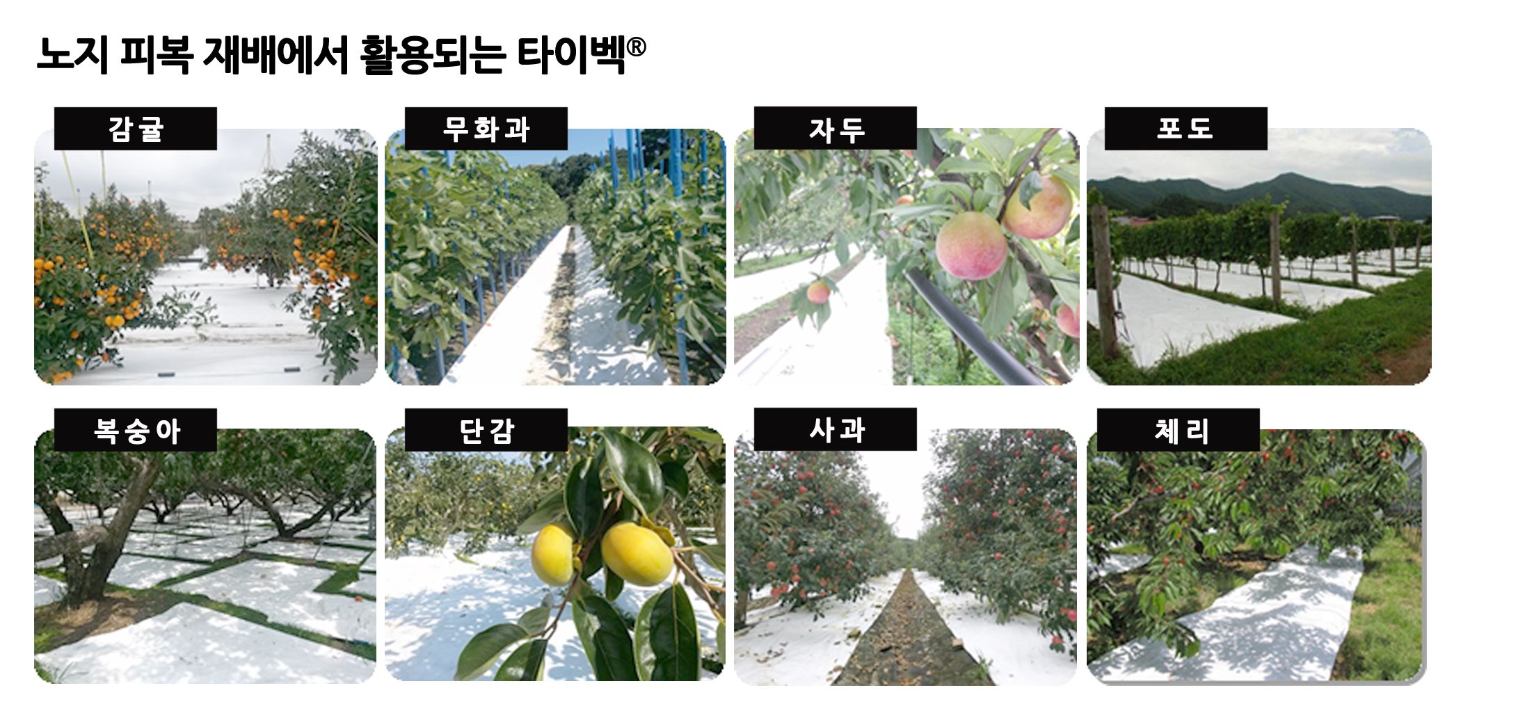 杜邦™ Tyvek® 反光地膜解决方案介绍单页